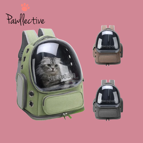 Transparent Cat Carrier Backpack – Breathable Travel Backpack for Pets