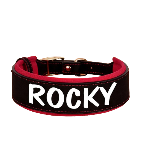 Personalized PU Leather Dog Collar – Wide Padded ID Name Collar🐾