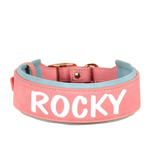 Personalized PU Leather Dog Collar – Wide Padded ID Name Collar🐾