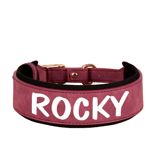 Personalized PU Leather Dog Collar – Wide Padded ID Name Collar🐾