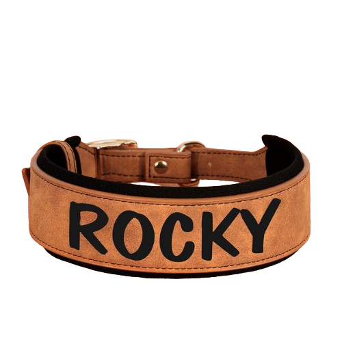 Personalized PU Leather Dog Collar – Wide Padded ID Name Collar🐾