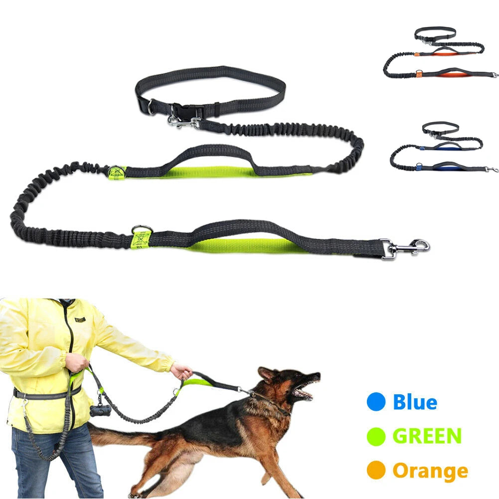 Reflective Elastic Dog Running Leash – Hands-Free Jogging Leash with Metal D-Ring and Harness, Adjustable for Dogs