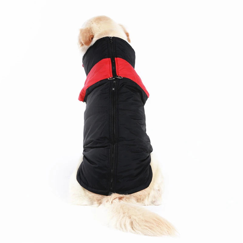 Waterproof Winter Dog Jacket – Warm Vest for Large Dogs🌧️🐾