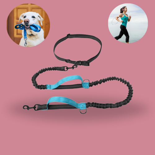 Reflective Elastic Dog Running Leash – Hands-Free Jogging Leash with Metal D-Ring and Harness, Adjustable for Dogs