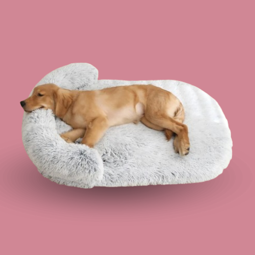 Orthopedic Washable Dog Bed – Egg Foam Pet Couch with Nonskid Bottom