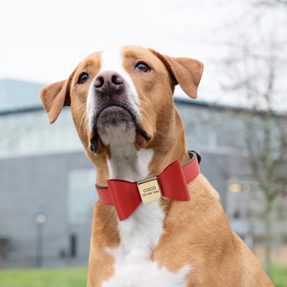 Personalized Leather Dog Collar with Bowknot – Free Engraving for Small & Medium Pets🎀