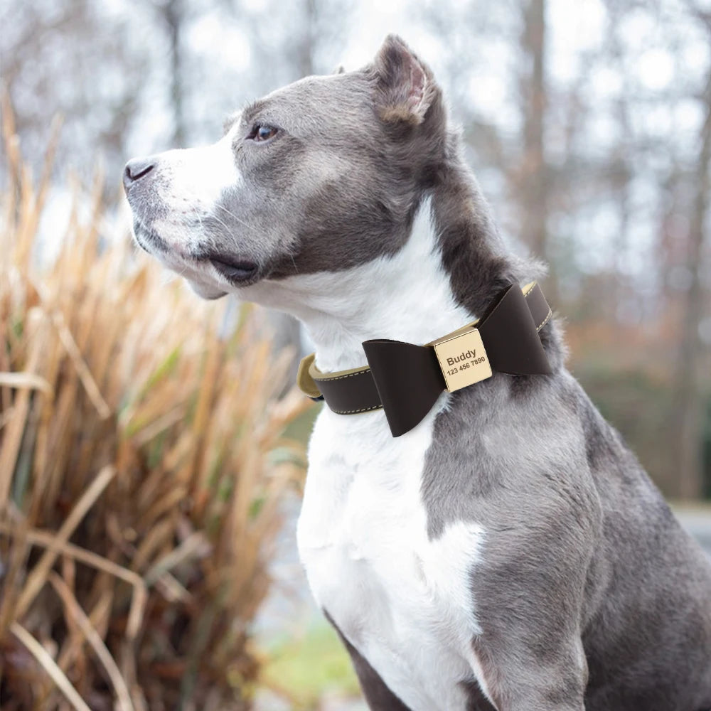 Personalized Leather Dog Collar with Bowknot – Free Engraving for Small & Medium Pets🎀