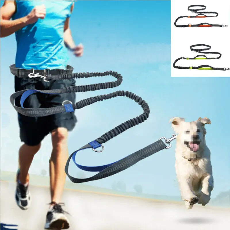 Reflective Elastic Dog Running Leash – Hands-Free Jogging Leash with Metal D-Ring and Harness, Adjustable for Dogs