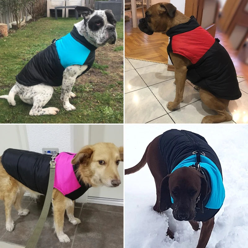 Waterproof Winter Dog Jacket – Warm Vest for Large Dogs🌧️🐾