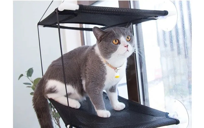 Cat Hammock Window Bed – Double-Decker Hanging Sunny Seat